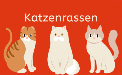 Katzenrassen finden