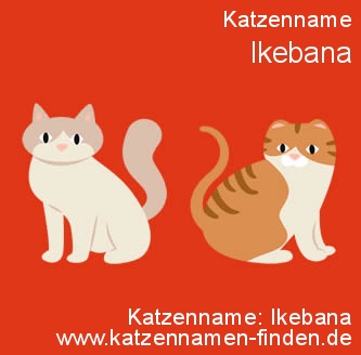 Katzenname Ikebana Kater Name