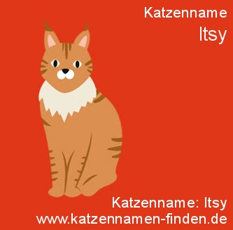 Katzenname Itsy Kater Name