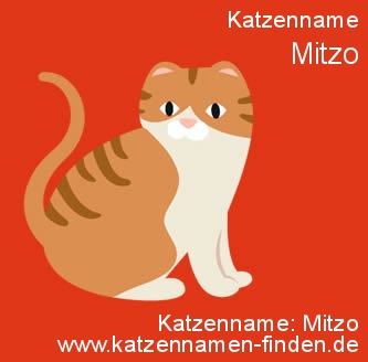 Katzenname Mitzo Kater Name